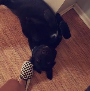 Meet your Posher, Angel